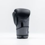 RINGSIDE Boxerské rukavice Pro Training G2 - černá